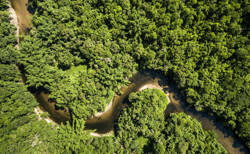 Amazon River